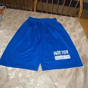 Coastal Blue Athletic Men's Shorts in Vibrant Blue
